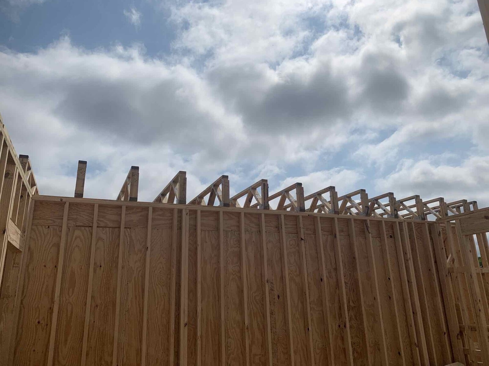 Wood roof truss framing viewed from below against open sky